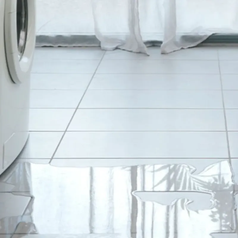 Appliance Leak Cleanup in Centerville, TX
