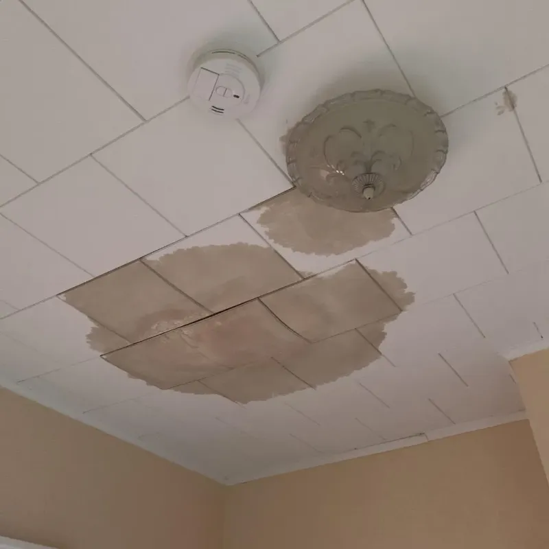 Ceiling Water Damage Repair in Centerville, TX