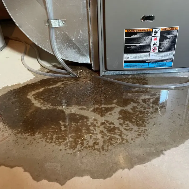 Pipe Burst and Leak Restoration in Centerville, TX