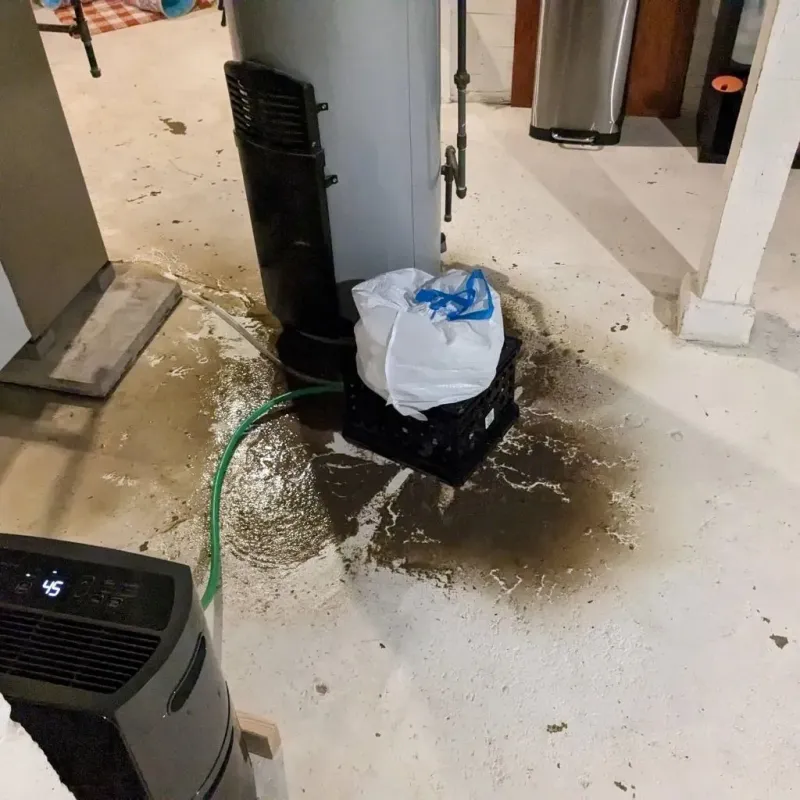 Sewage Backup Cleanup Service in Centerville, TX